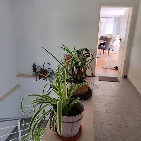 Ferienwohnung Zur Alten Post Pirna Exterior photo