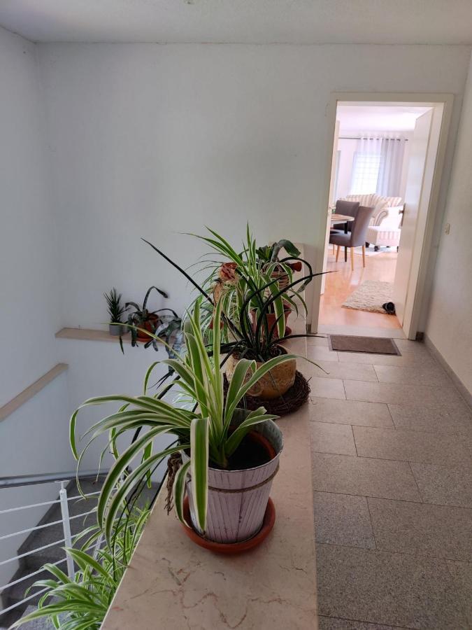 Zur Alten Post Apartment